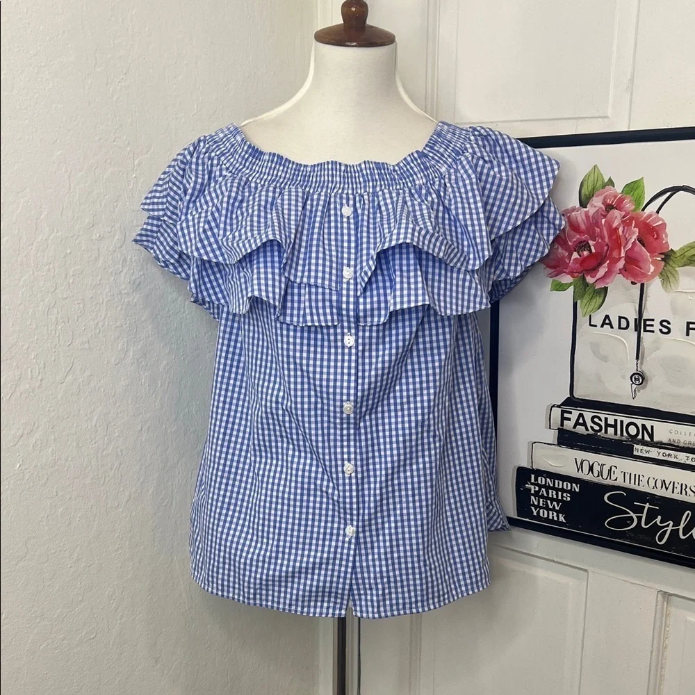 NWT Petersyn Blue & White Gingham Top Size S - Picture 1 of 9